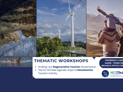 Thematic Workshops 